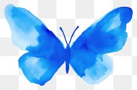 PNG Blue butterfly insect petal wing.