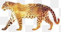 PNG Wildlife leopard animal mammal.