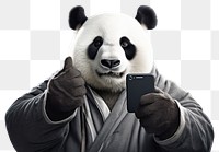 PNG Selfie panda mammal adult photo.