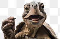 PNG Selfie tortoise wildlife reptile animal.