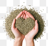 PNG Hemp seeds hand white background accessories.