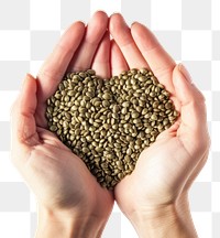 PNG Hemp seeds hand white background agriculture.