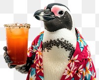 PNG Penguin animal drink refreshment.