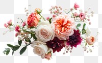 PNG Bouquet flower plant rose