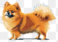 PNG Pomeranian cut pixel dog mammal animal.