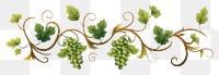 PNG Vine borders pattern grapes plant.
