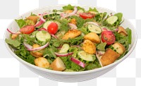 PNG Salad plate food vegetable.