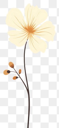 PNG Flower blossom plant petal. AI generated Image by rawpixel.