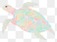 PNG Turtle reptile drawing animal. 