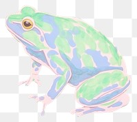 PNG  Frog amphibian wildlife drawing. 