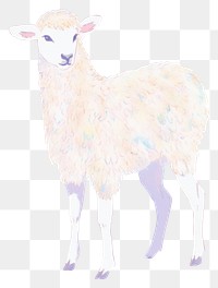 PNG  Lamb livestock drawing animal. AI generated Image by rawpixel.