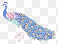 PNG  Peacock art drawing animal. .