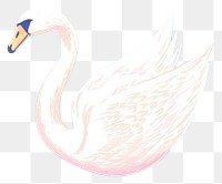 PNG  Swan drawing animal white. AI generated Image by rawpixel.