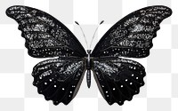 PNG  Glitter silhouette butterfly insect animal white background. 