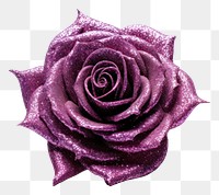 PNG  Glitter silhouette rose flower plant white background inflorescence. AI generated Image by rawpixel.