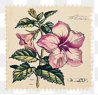 PNG Flower plant inflorescence cross-stitch.