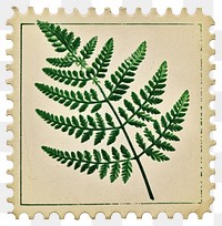 PNG Plant fern leaf pattern.