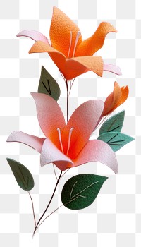 PNG Wallpaper of felt lily art flower plant.