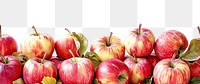PNG  Apples border fruit plant food.