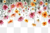PNG  Daisy flowers nature outdoors pattern.