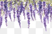 PNG  Lavender flowers blossom nature lilac.