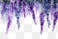 PNG  Lavender flowers blossom hanging nature.