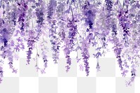 PNG  Lavender flowers nature blossom purple.