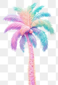 PNG  Palm tree plant white background creativity.