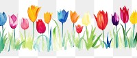 PNG Tulip watercolor border outdoors flower plant.