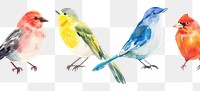 PNG Animal canary bird beak.