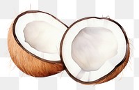 PNG Coconut freshness eggshell produce.