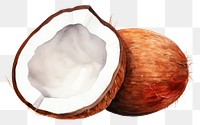 PNG Coconut food freshness eggshell.
