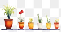 PNG Flower pot watercolor border plant white background arrangement.