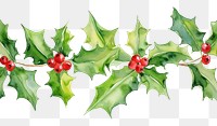 PNG Holly flower watercolor border pattern plant leaf.