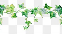 PNG Ivy flower watercolor border backgrounds plant leaf.