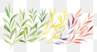PNG Laurel watercolor border backgrounds pattern plant.
