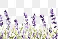 PNG Lavender watercolor border backgrounds blossom flower.