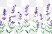 PNG Lavender watercolor border blossom flower plant.