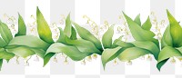 PNG Lily of the valley watercolor border plant green leaf.