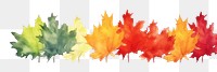 PNG Maple watercolor border plant leaf white background.