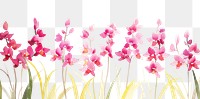 PNG Orchid watercolor border blossom flower petal.