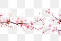 PNG Sakura watercolor border blossom flower plant.