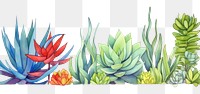 PNG Succulent watercolor border pattern plant white background.