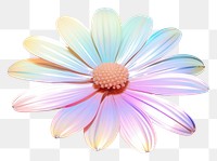 PNG Daisy iridescent flower petal plant.