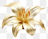 PNG Lilly flower petal plant white.