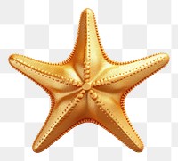 PNG Star fish starfish gold invertebrate.