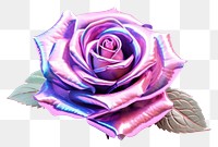 PNG Rose iridescent flower plant white background.