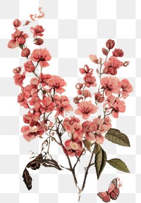 PNG Love letter ephemera pattern flower plant.