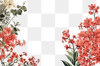PNG Coral flowers ephemera border backgrounds pattern plant.