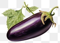 PNG Vegetable eggplant food produce.